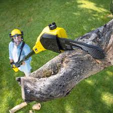 Best Organic Lawn Care Solutions  in Gibson City, IL